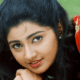 Divya Unni Net Worth